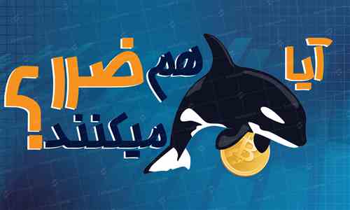 آیا نهنگ ها هم ضرر می کنند؟